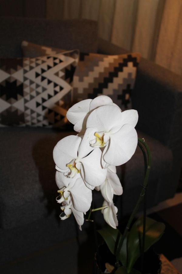 Sound Of Music World Appartement Σάλτσμπουργκ Εξωτερικό φωτογραφία